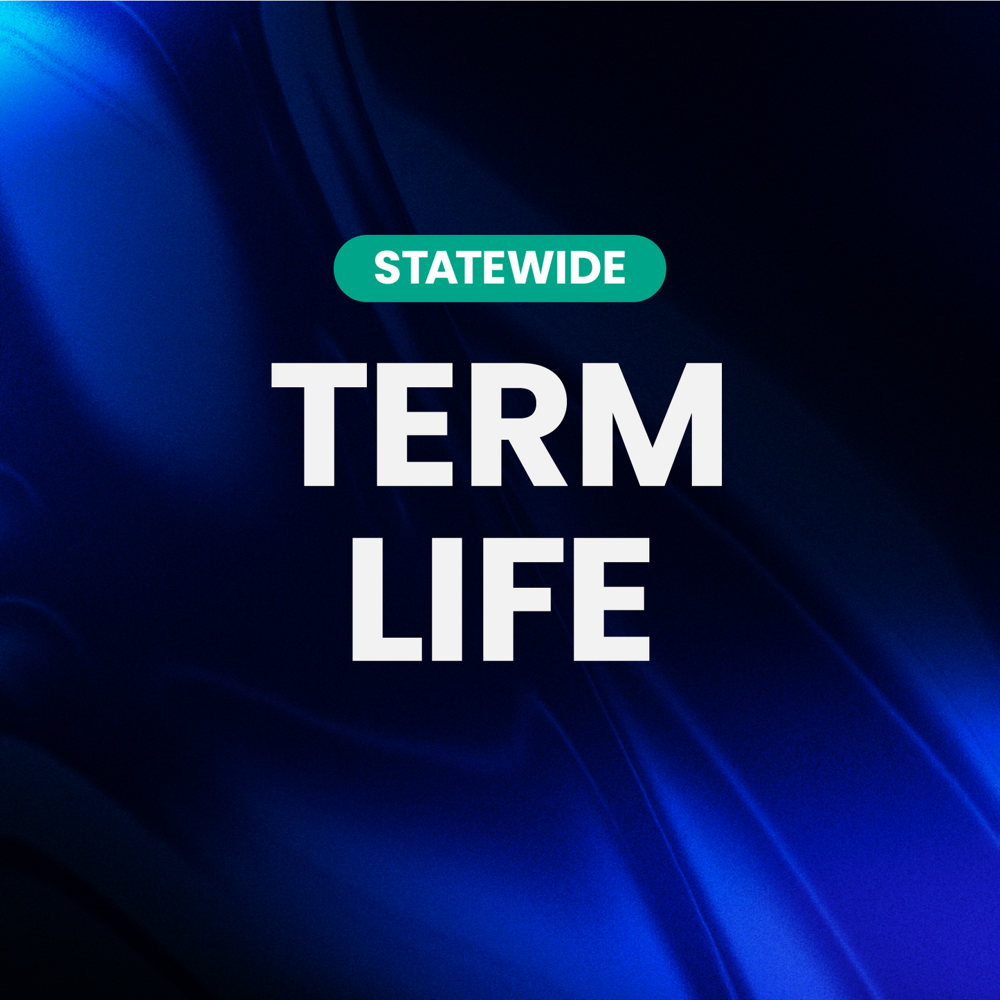 Term Life Leads