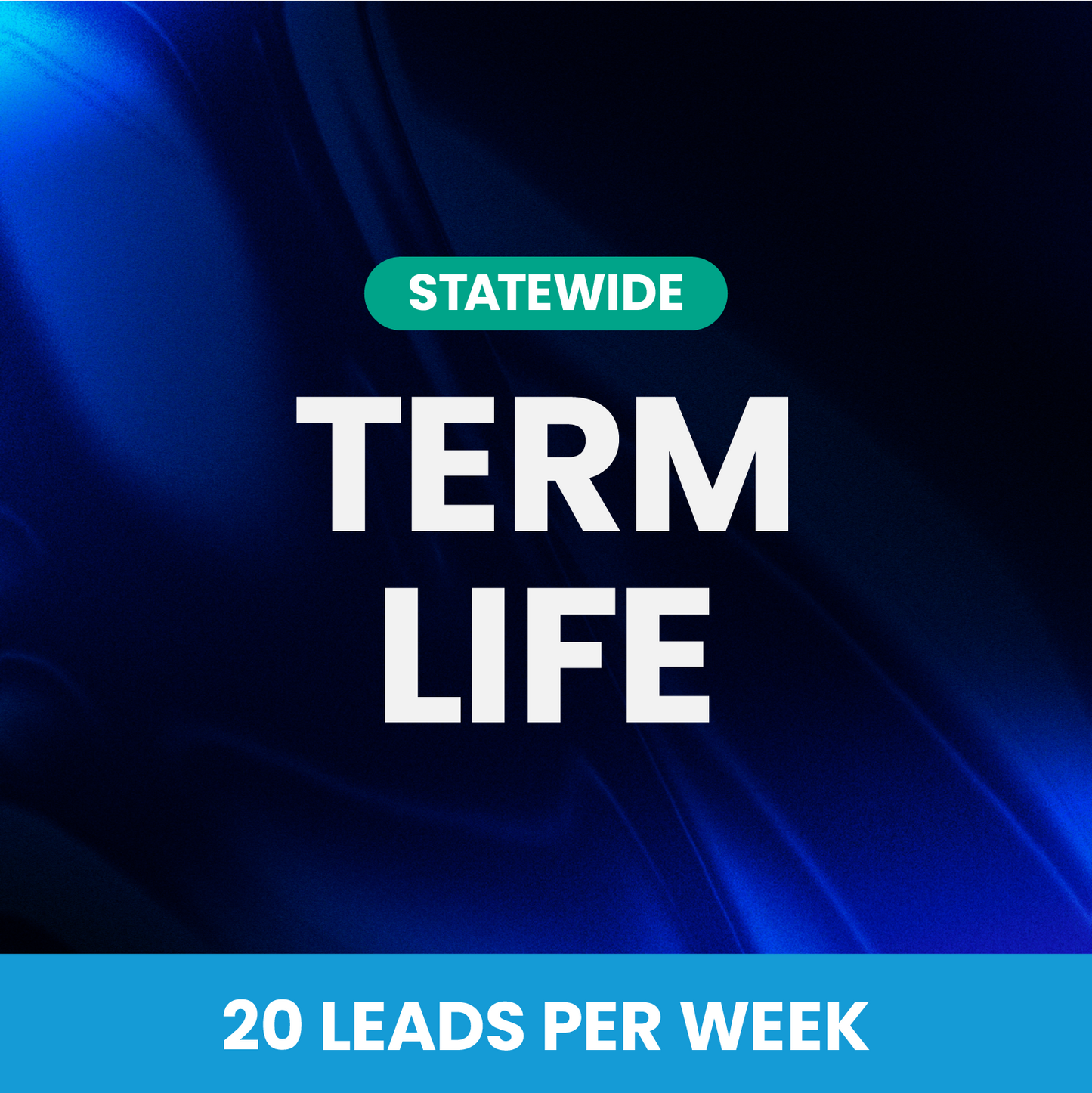 Term Life - 20 Leads Per Week